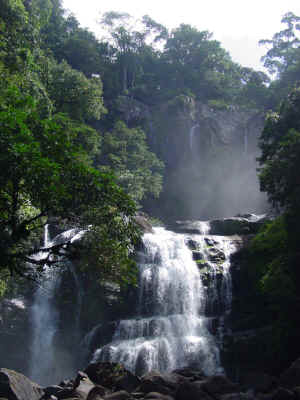 NayacaFalls.jpg (481914 Byte)